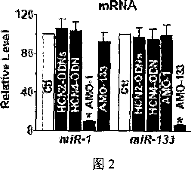 A miRNA barrier technique