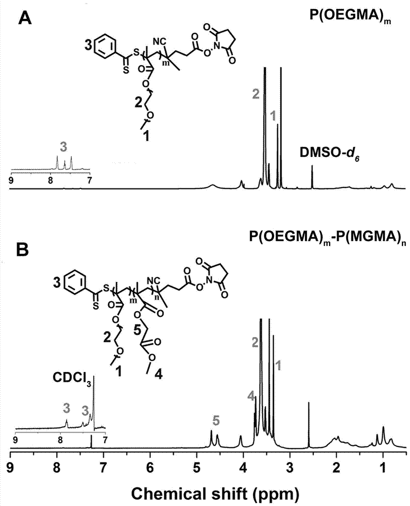 Preparation method of linear diblock polymeric prodrugs with pH simulative responsibility