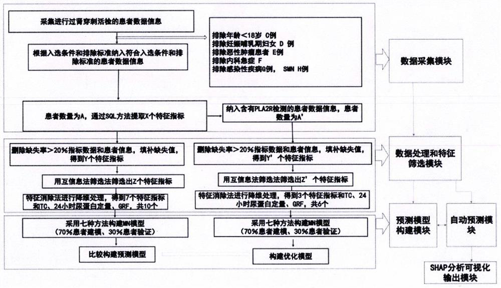 Method, system and device for predicting membranous nephropathy based on machine learning