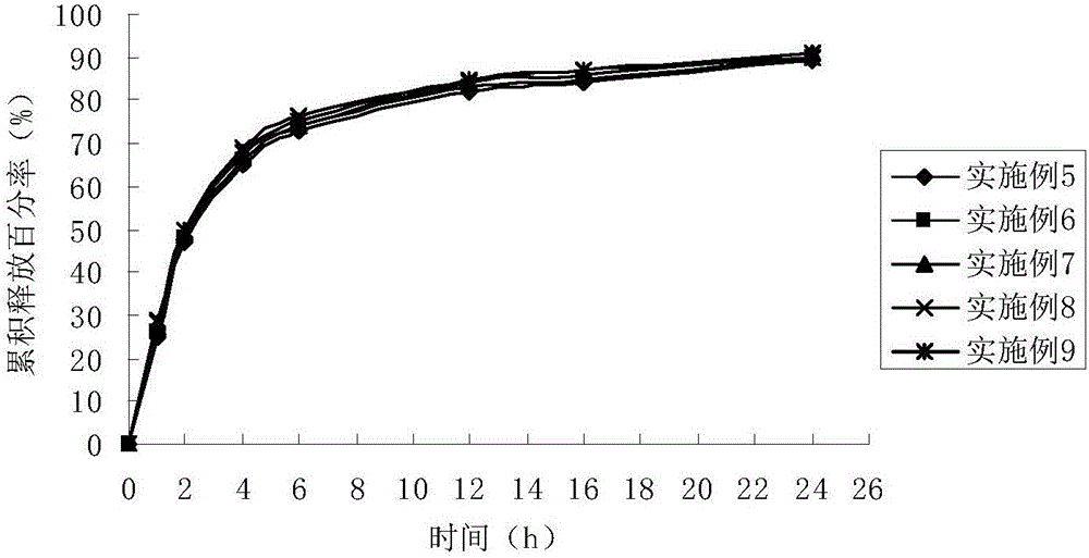 Dinoprostone vaginal expansion suppository, preparation method and detection method thereof