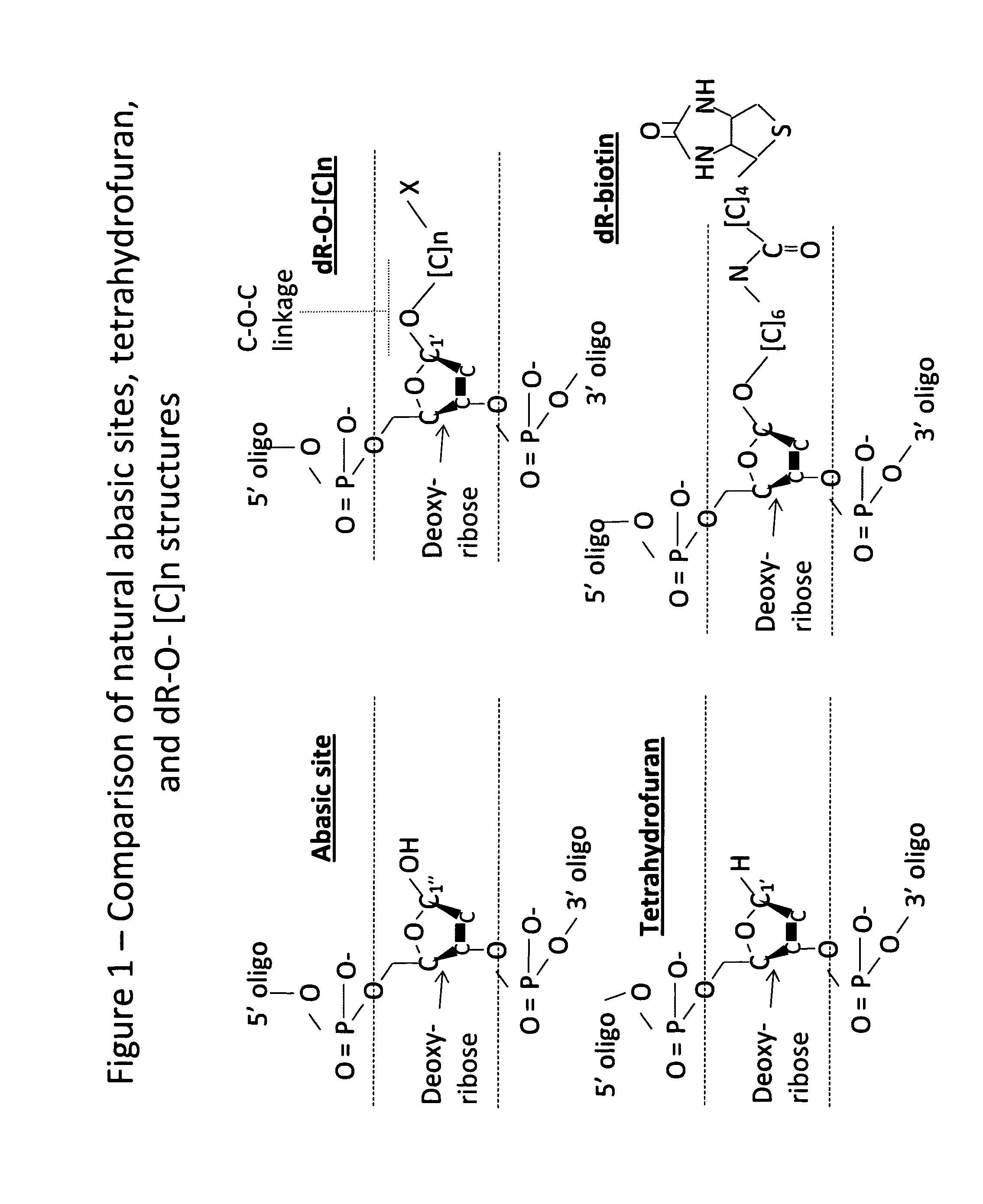 DNA Glycosylase/Lyase and AP Endonuclease substrates