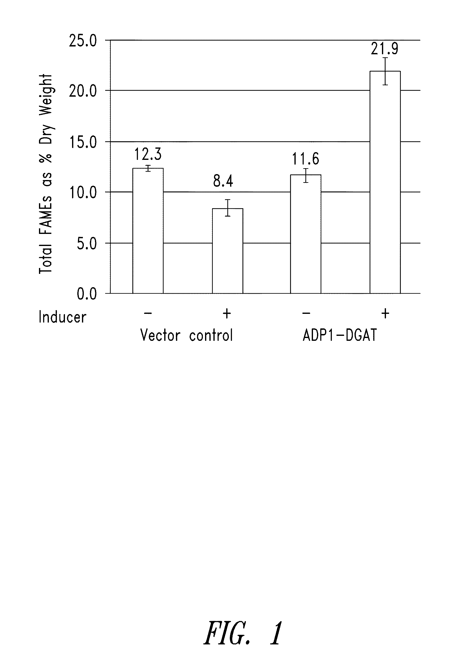 Modified photosynthetic microorganisms for producing triglycerides