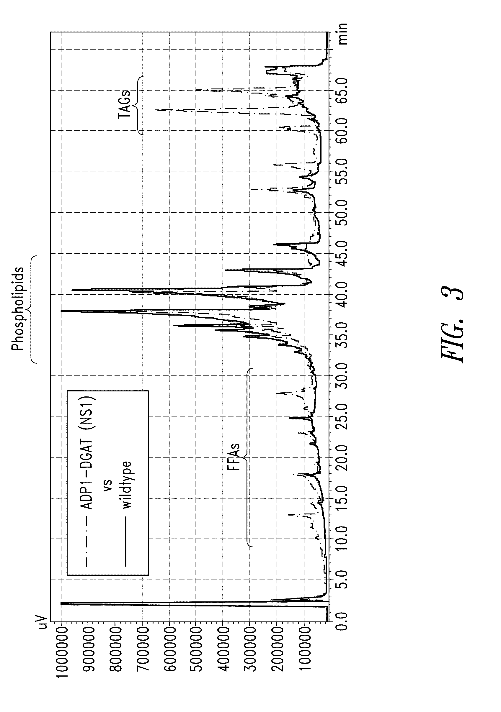 Modified photosynthetic microorganisms for producing triglycerides