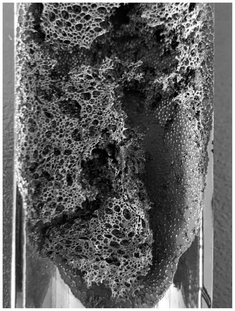 Preparation method and application of hierarchical pore carbon material