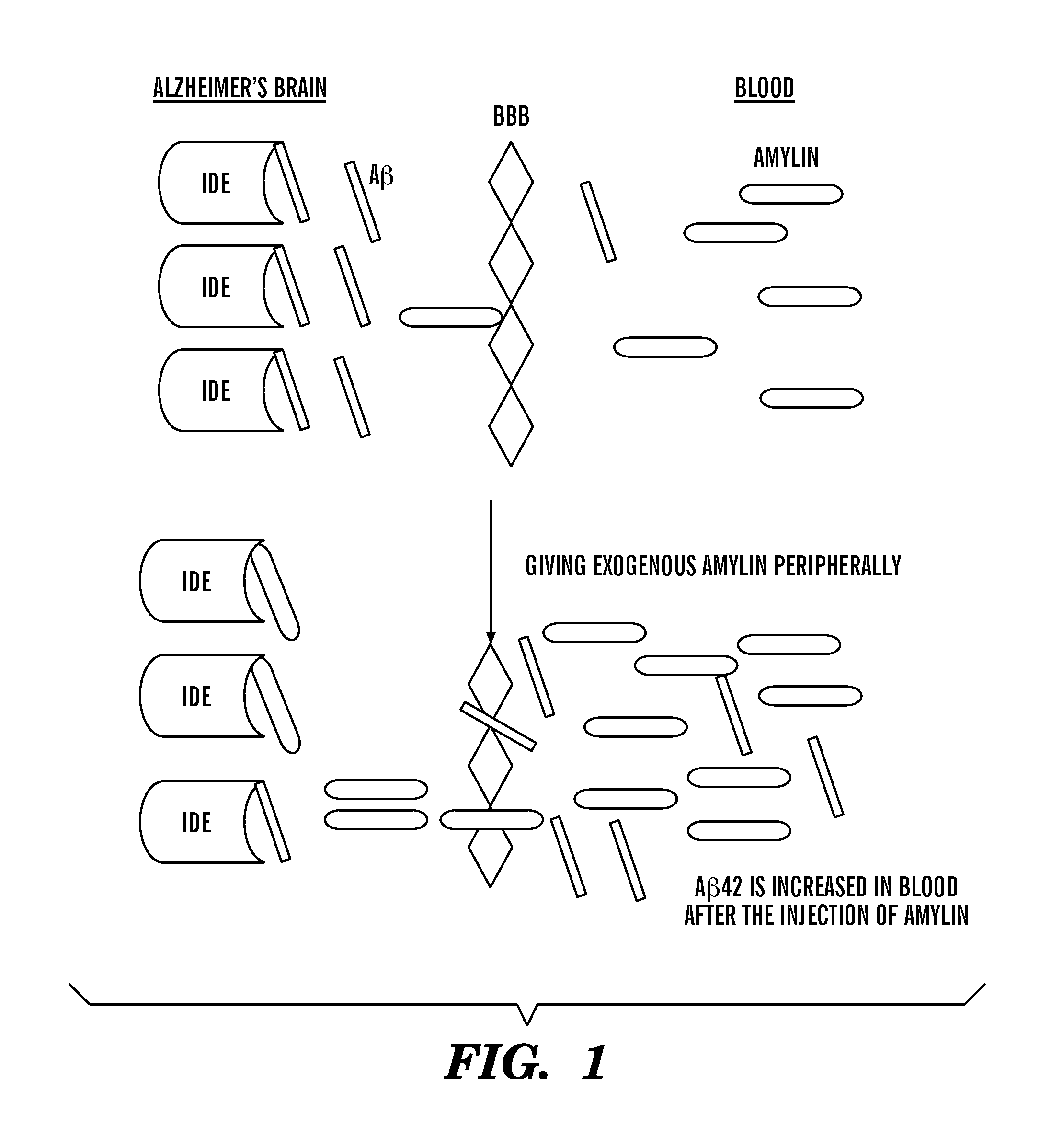 Compositions, methods and assays comprising amylin or amlyin analogs for abeta-peptide mediated disorders