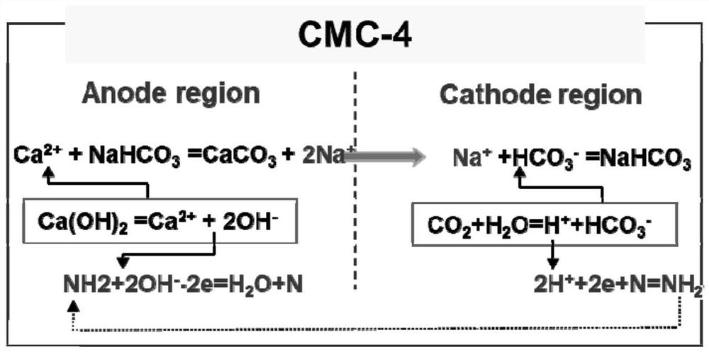 A carbon dioxide mineralization power generation method using organic matter as a catalyst