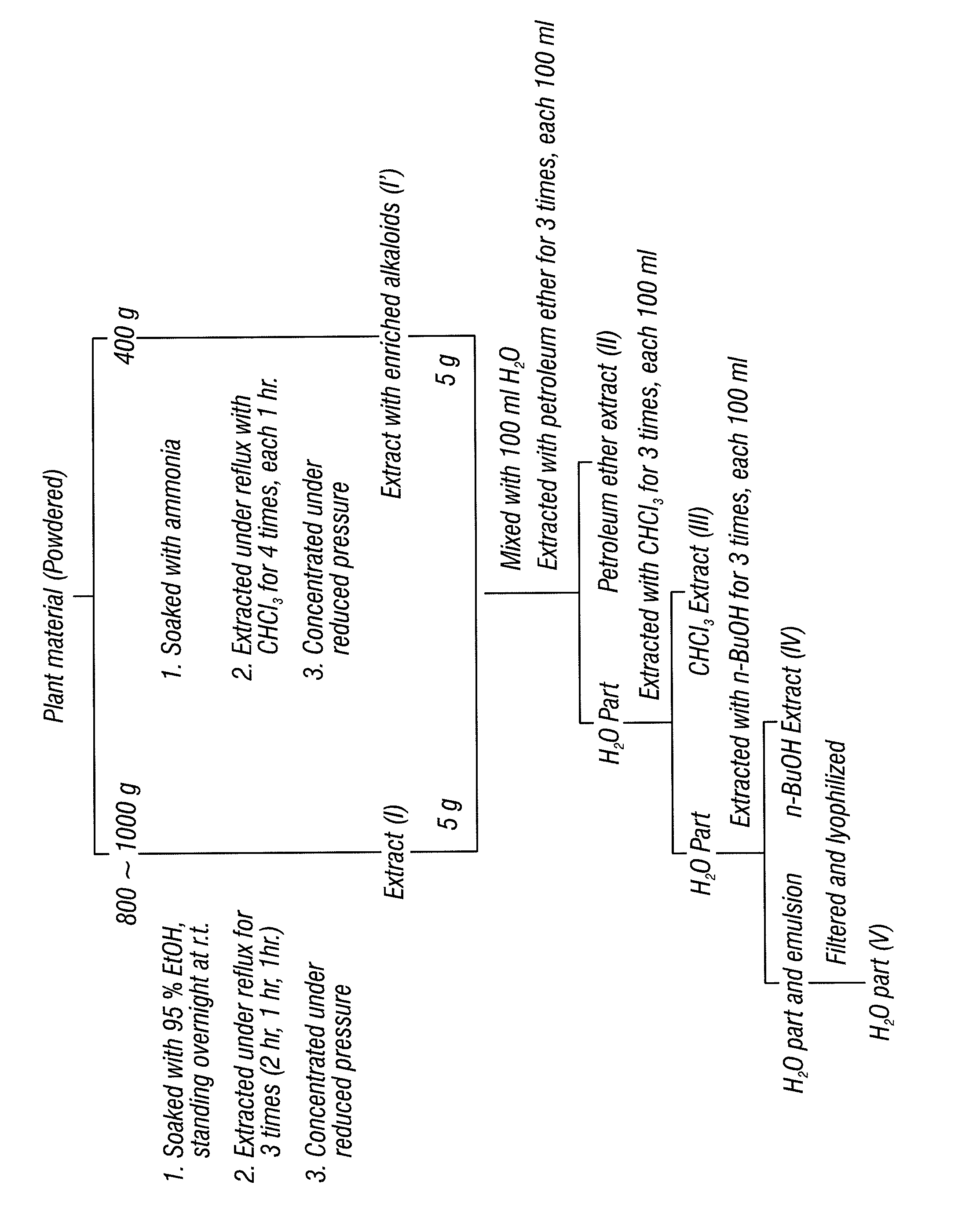 Compositions comprising docynia delavajy extract and/or Elaeagnus lancelotus extract