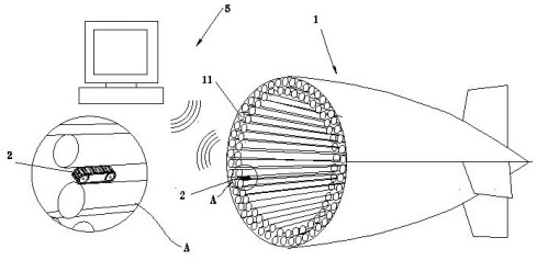 Vacuum capsule type integrated tube bundle detection device and detection method thereof