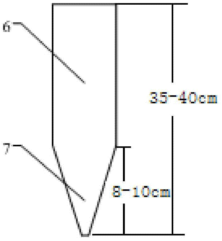 Positional Transplanting Method of Tobacco Seedlings