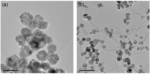 Self-assembled amino acid derivative functionalized magnetic-carbon nanotube composite material as well as preparation method and application thereof