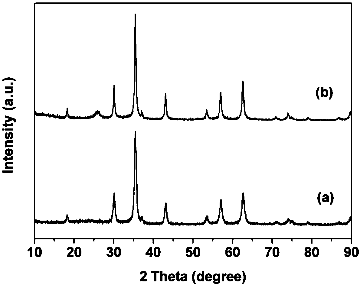 Self-assembled amino acid derivative functionalized magnetic-carbon nanotube composite material as well as preparation method and application thereof