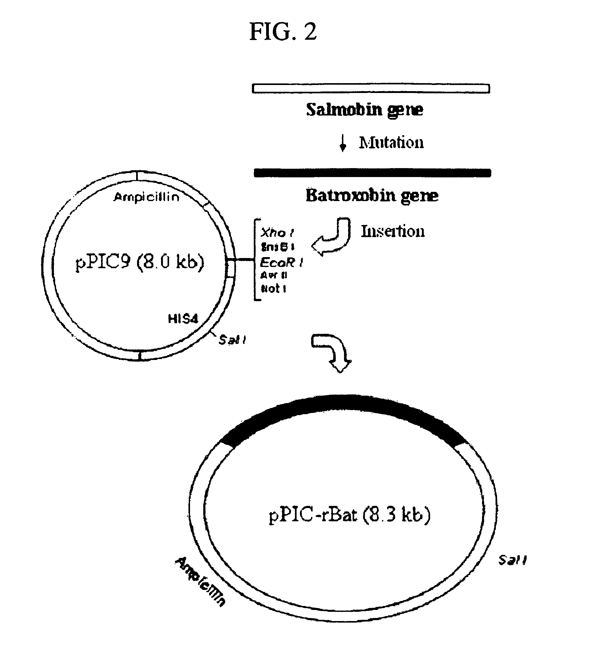 Thrombin-like recombinant baxtroxobin expressed by pichia sp.and production method thereof