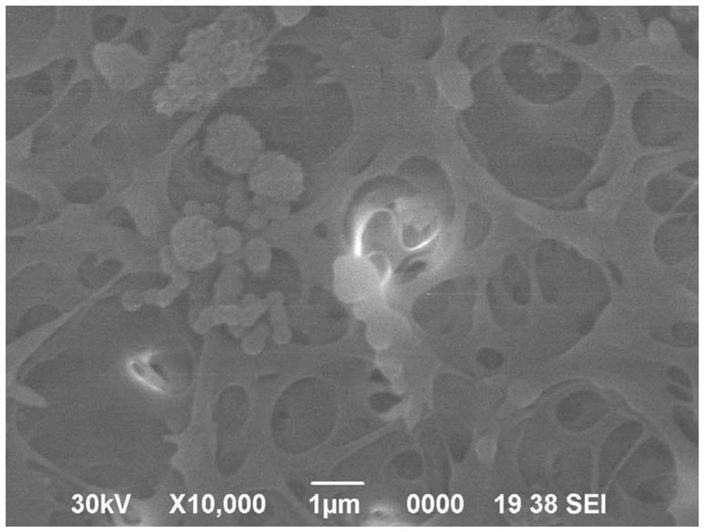 A kind of composite nanofiltration membrane and preparation method thereof