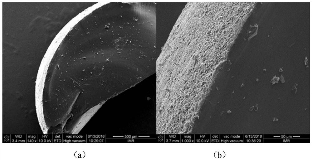 Preparation method of graphene gradient-coated polyacrylic acid composite conductive particles