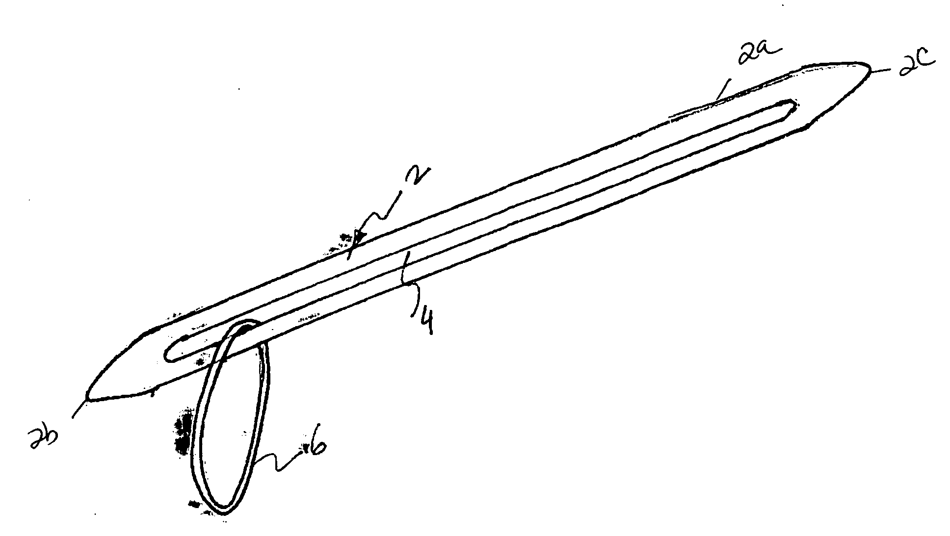 Hair styling apparatus and method of using same