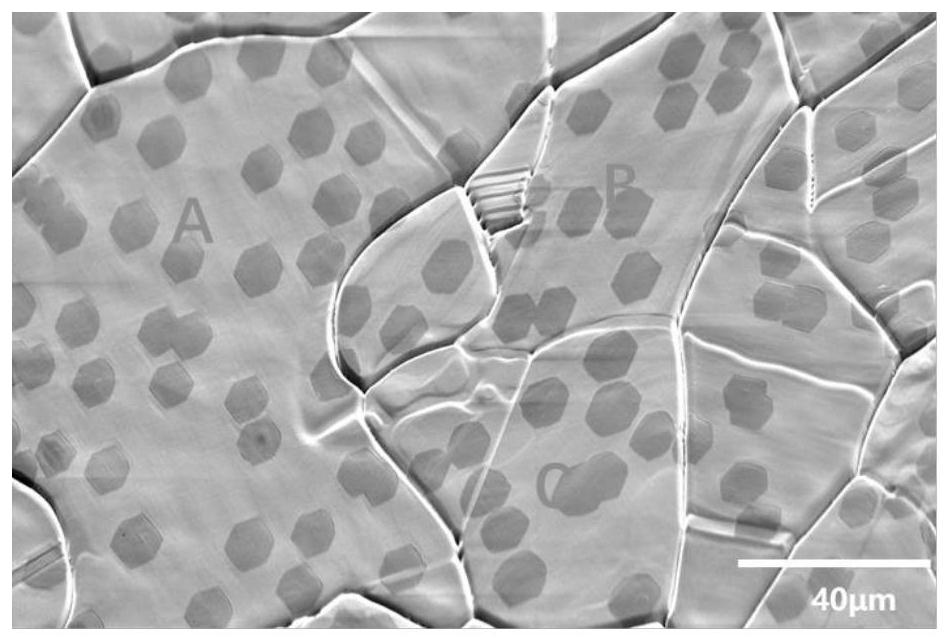 Method for determining single crystal graphene orientation