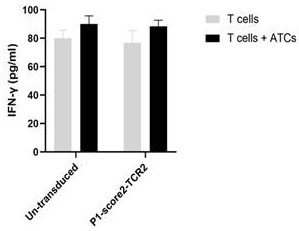 Method for screening tumor specific TCR