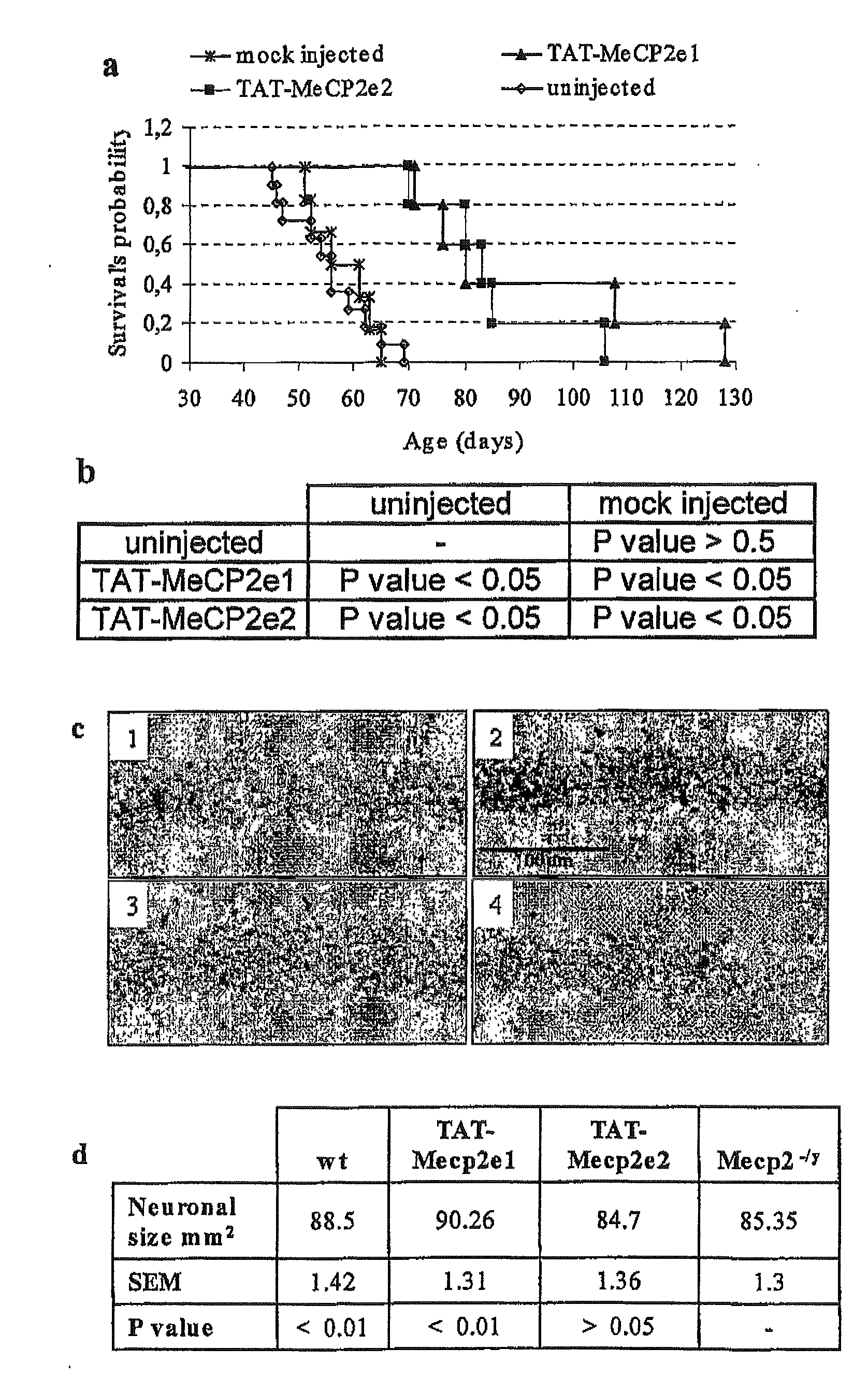 Synthetic mecp2 sequence for protein substitution therapy