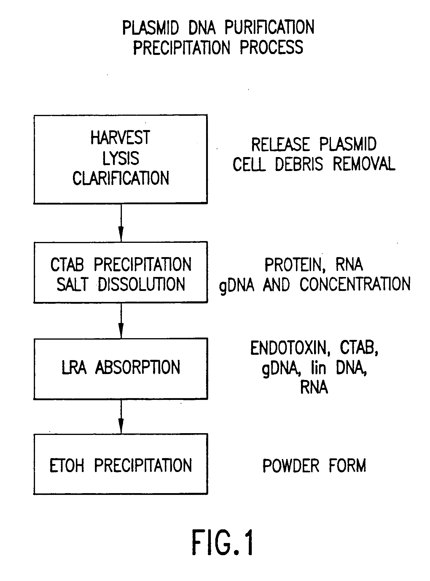 Process for the scaleable purification of plasmid DNA