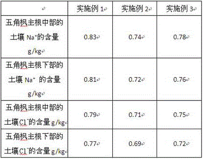 Root salt control method with perlite percolation layer and application of root salt control method with perlite percolation layer to planting acer mono in saline-alkali land