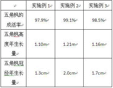 Root salt control method with perlite percolation layer and application of root salt control method with perlite percolation layer to planting acer mono in saline-alkali land