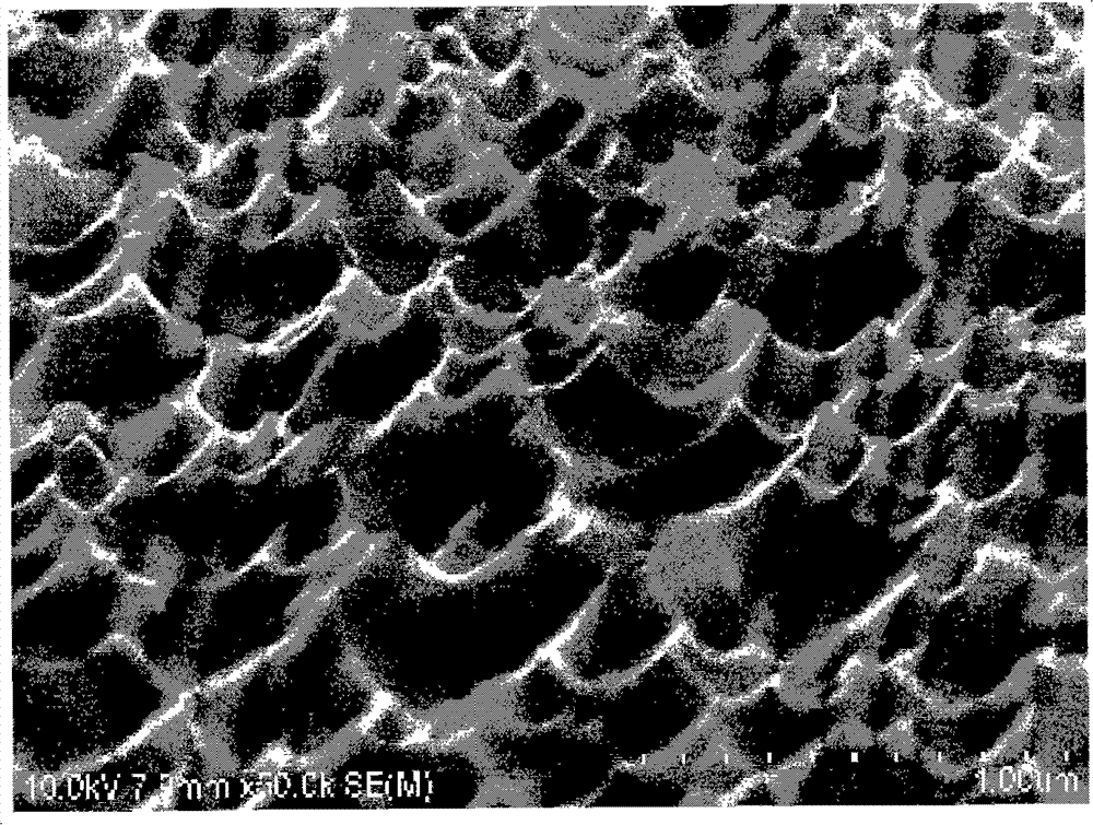 Biological polypeptide medical device and manufacturing method thereof