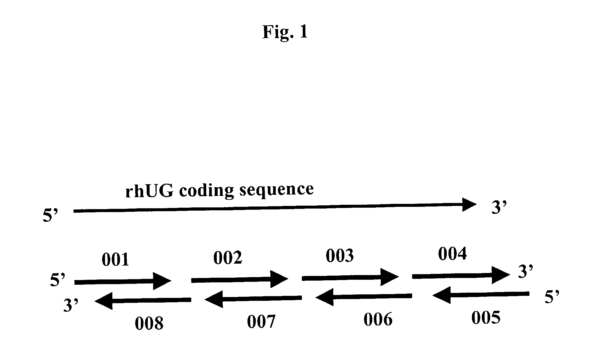 Methods for the production of purified recombinant human uteroglobin for the treatment of inflammatory and fibrotic conditions