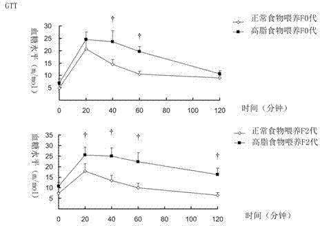 Method for building mouse model with multiple-generation obesity and fatty liver pathologic change