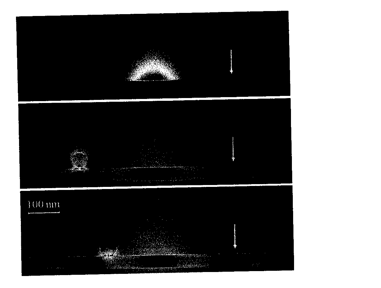 Surface plasma longitudinal field scanning near-field optic microscope device and detection method