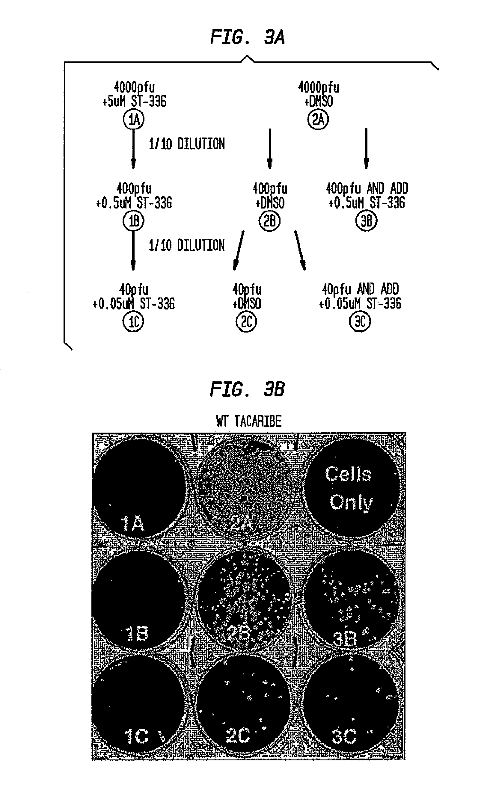 Sulfonyl semicarbazides, semicarbazides and ureas, pharmaceutical compositions thereof, and methods for treating hemorrhagic fever viruses, including infections associated with arenaviruses