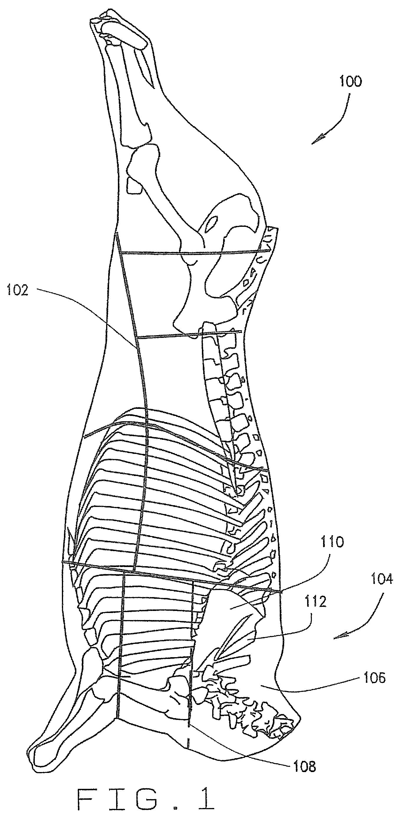 Method and apparatus to load and remove bones from primals