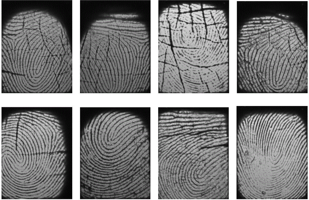 Fuzzy vault method based on fingerprint features and Internet key exchange protocol
