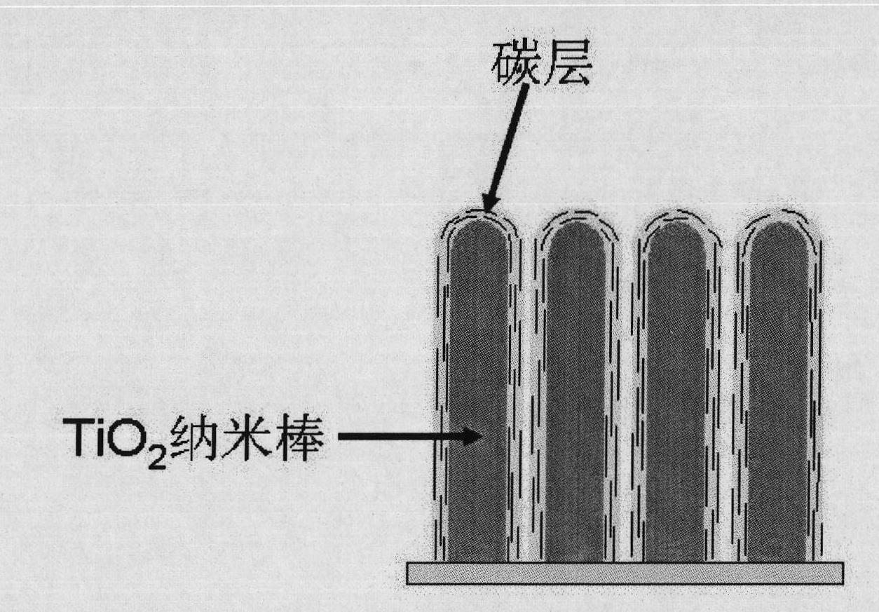 TiO2 nuclear shell structure nano rod array coated with carbon bed and preparation method thereof