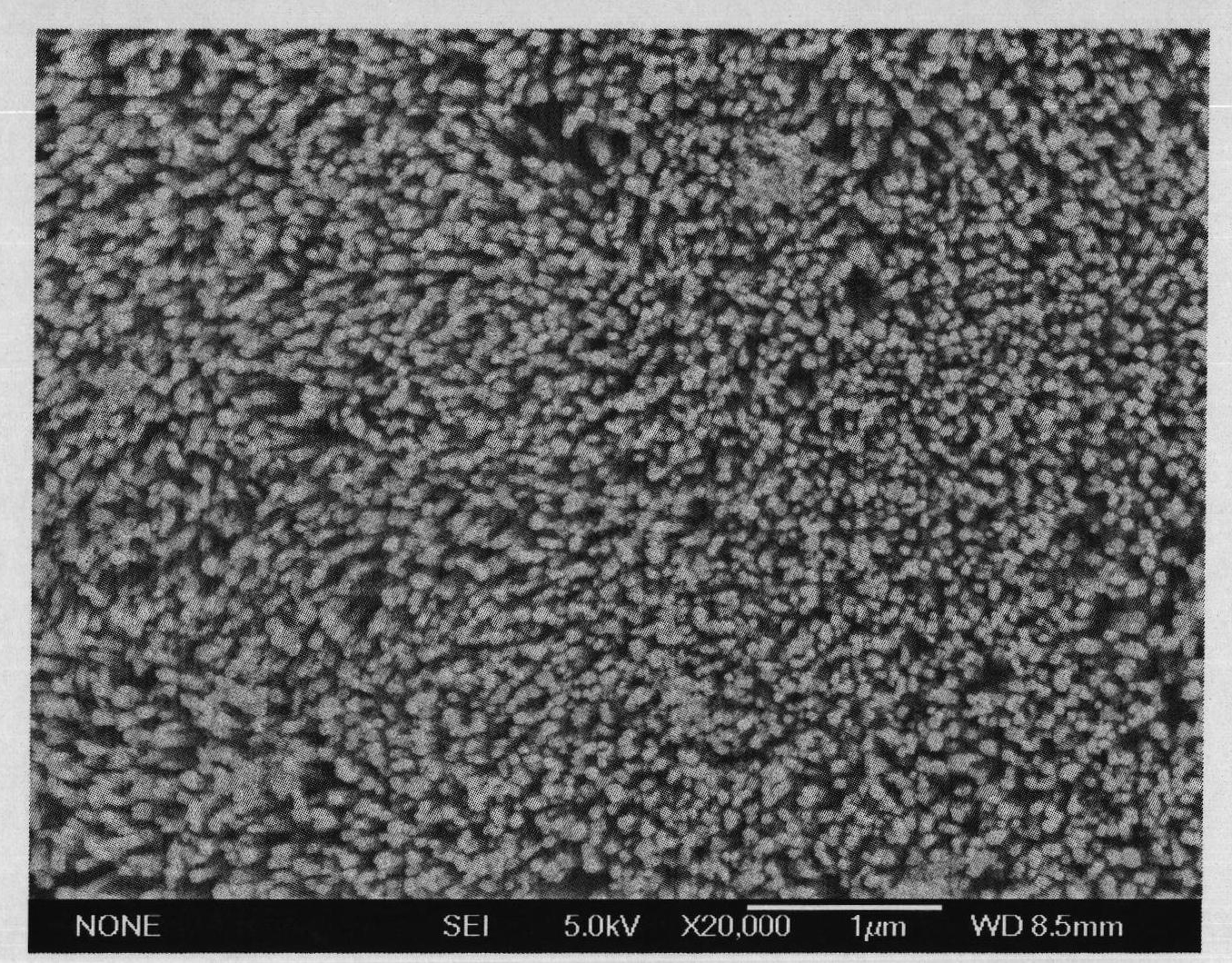 TiO2 nuclear shell structure nano rod array coated with carbon bed and preparation method thereof