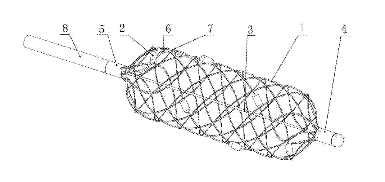 Radiofrequency ablation catheter having meshed tubular stent structure and an apparatus thereof