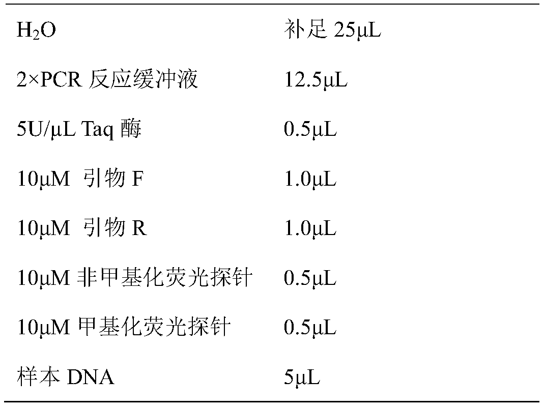 Primer probe composition for detecting methylation level of DNA (deoxyribonucleic acid) and application of primer probe composition