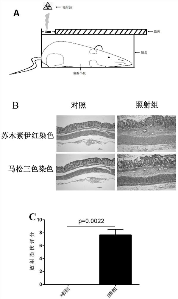 Use of pdf inhibitor for preparing medicine for treating intestinal inflammatory diseases