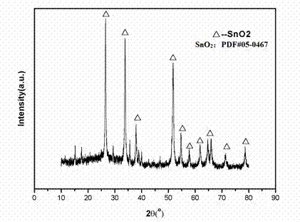 Method for preparing precious metal gold particle catalytically-grown stannic oxide nanowire