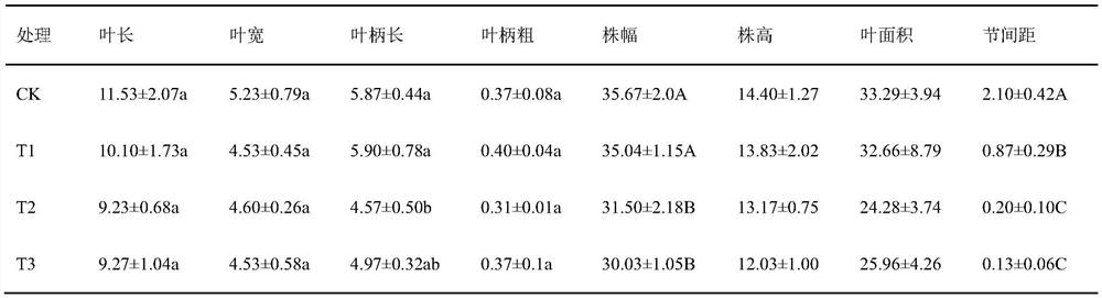 A method for shortening the internode distance and improving the ornamental quality of small potted plants of pothos radix