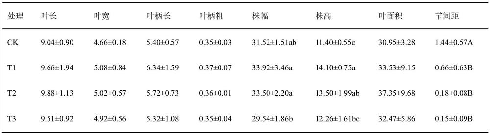 A method for shortening the internode distance and improving the ornamental quality of small potted plants of pothos radix