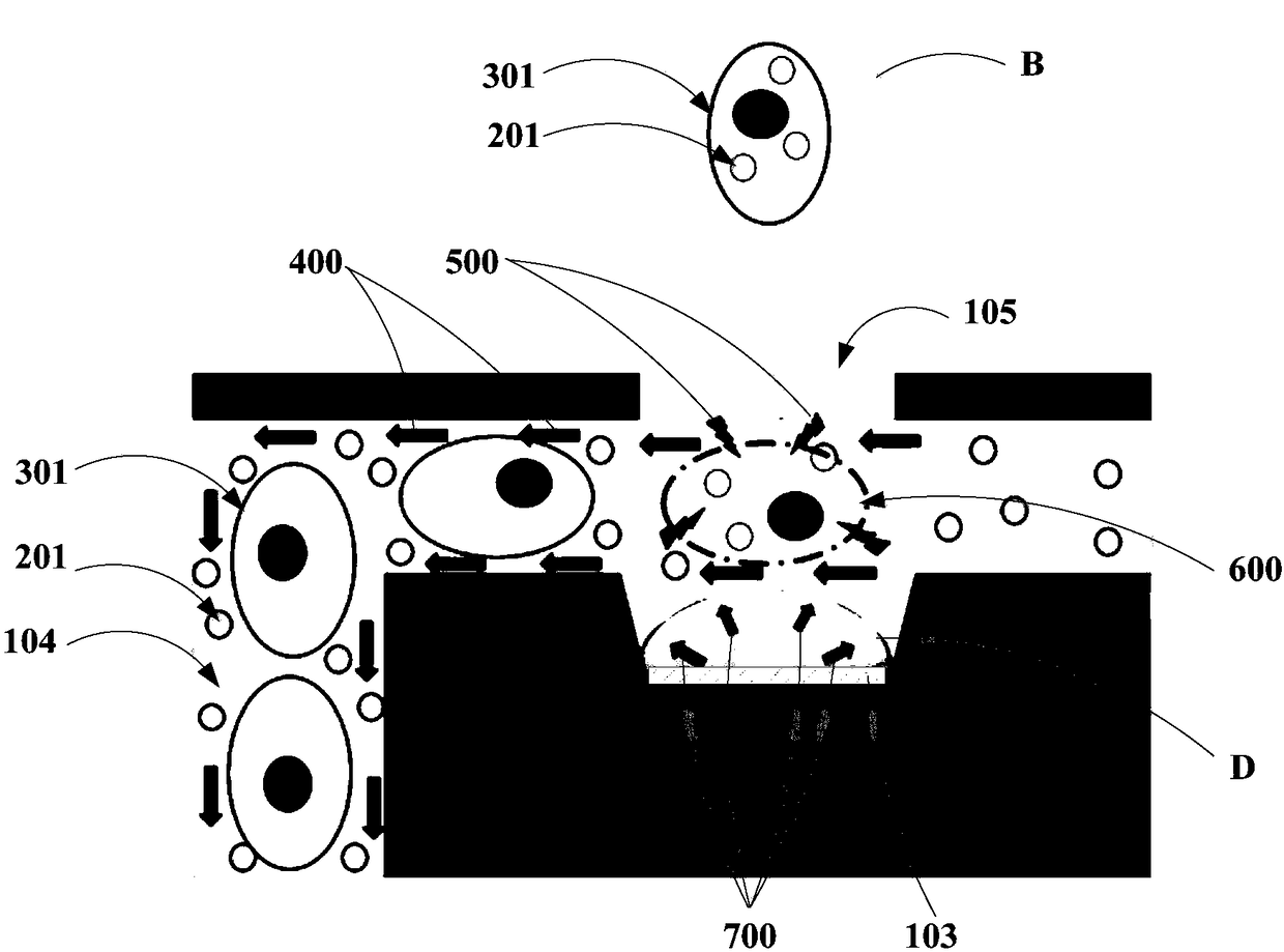 Gene transfection device and gene transfection method