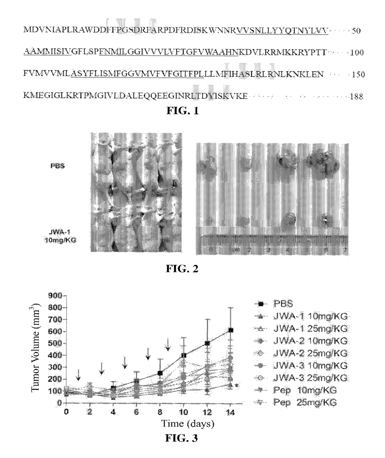 Anti-tumor polypeptides and method for preparing anti-tumor drugs comprisng the same