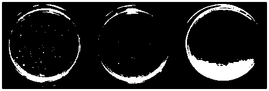 A kind of 2-aminobenzimidazole bactericidal microsphere and its synthesis method and application