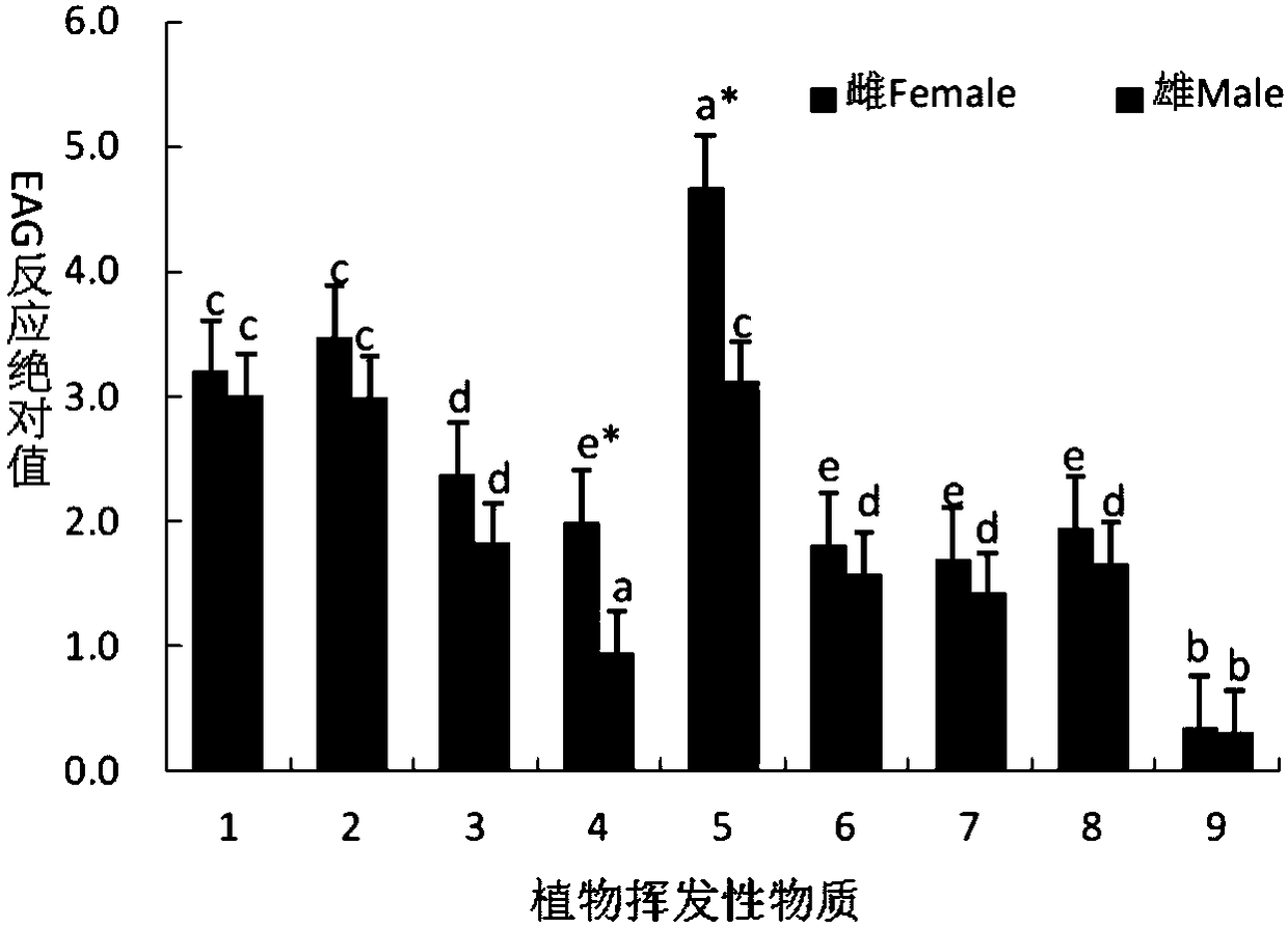 Lygus pratensis linnaeus host plant volatile matter and application thereof