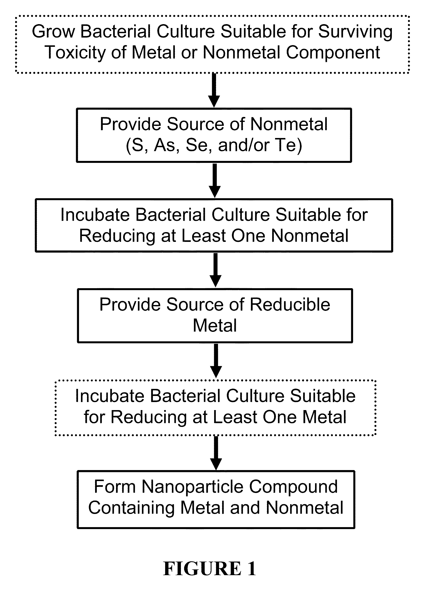 Microbially-mediated method for synthesis of non-oxide semiconductor nanoparticles