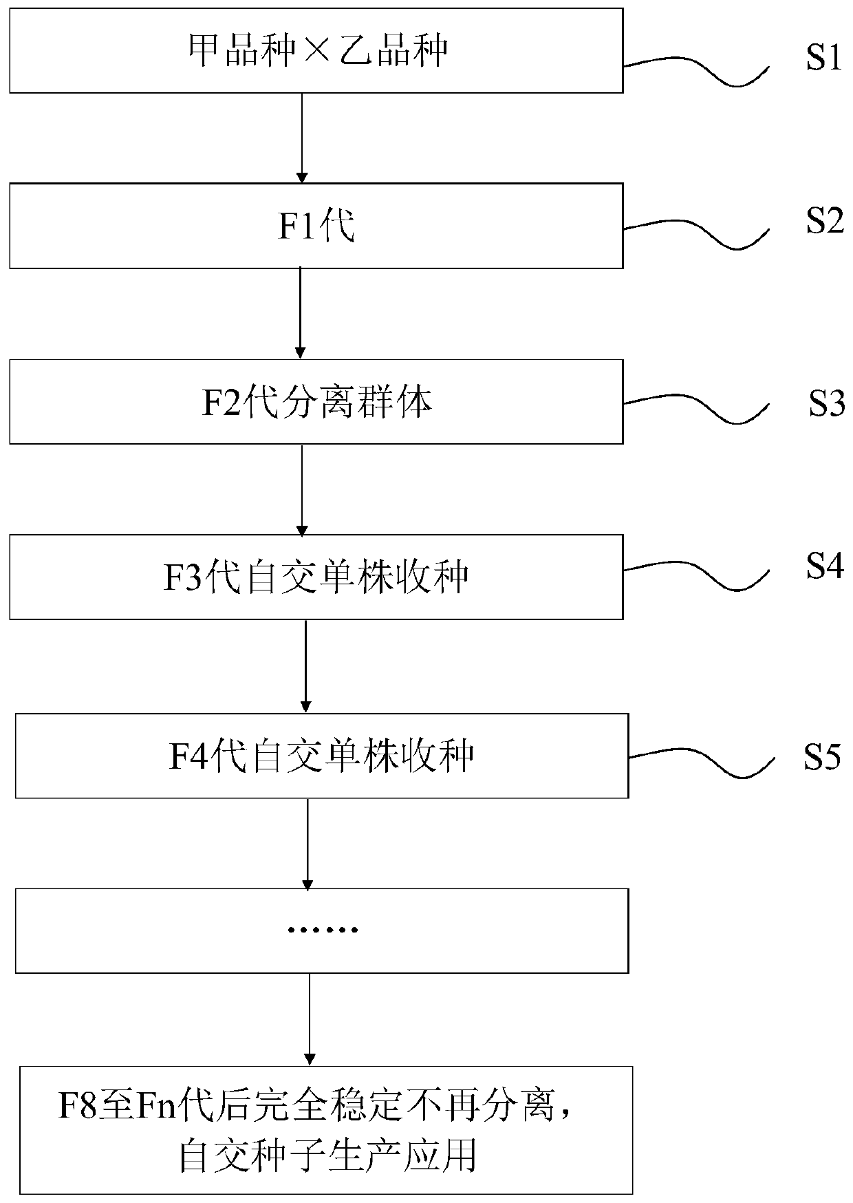 Rice seed production method and application thereof