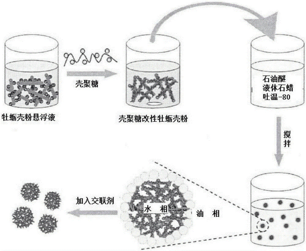 Chitosan-oyster shell composite microsphere and preparation method thereof