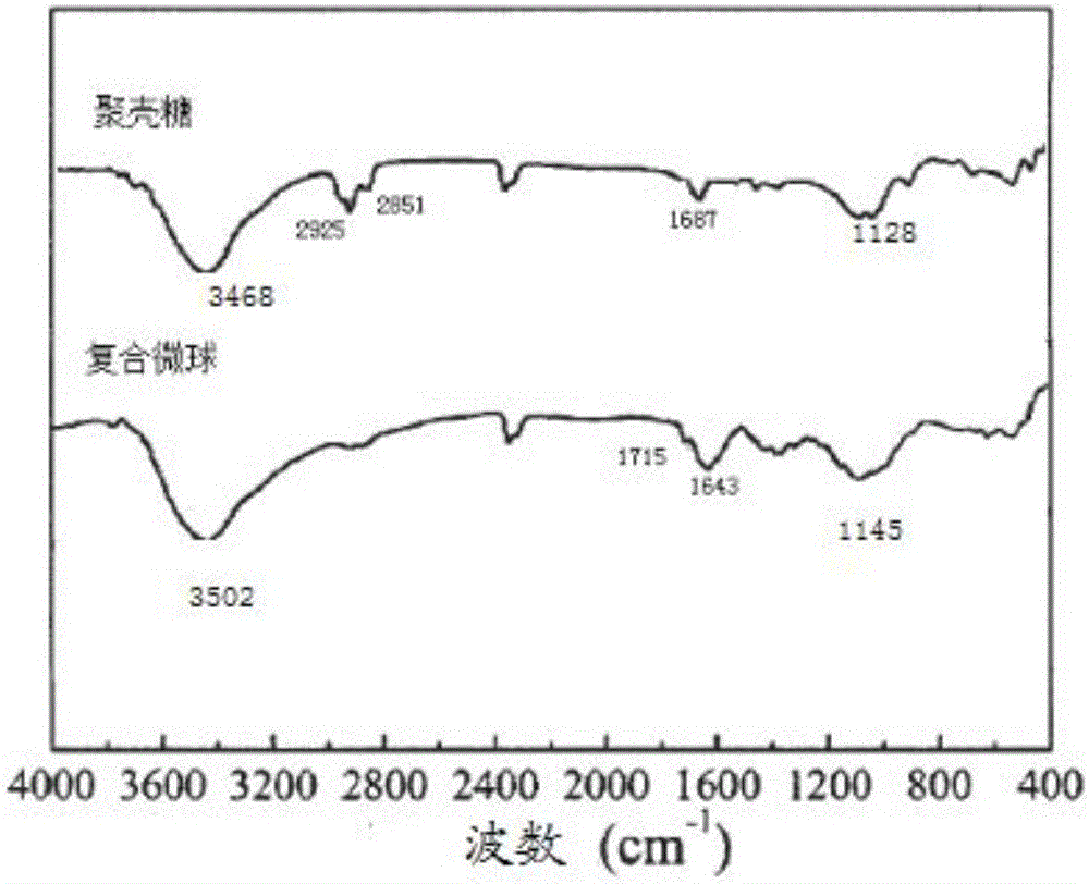 Chitosan-oyster shell composite microsphere and preparation method thereof