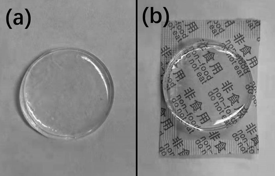 Novel hydrogel electrode patch for health monitoring and preparation method thereof