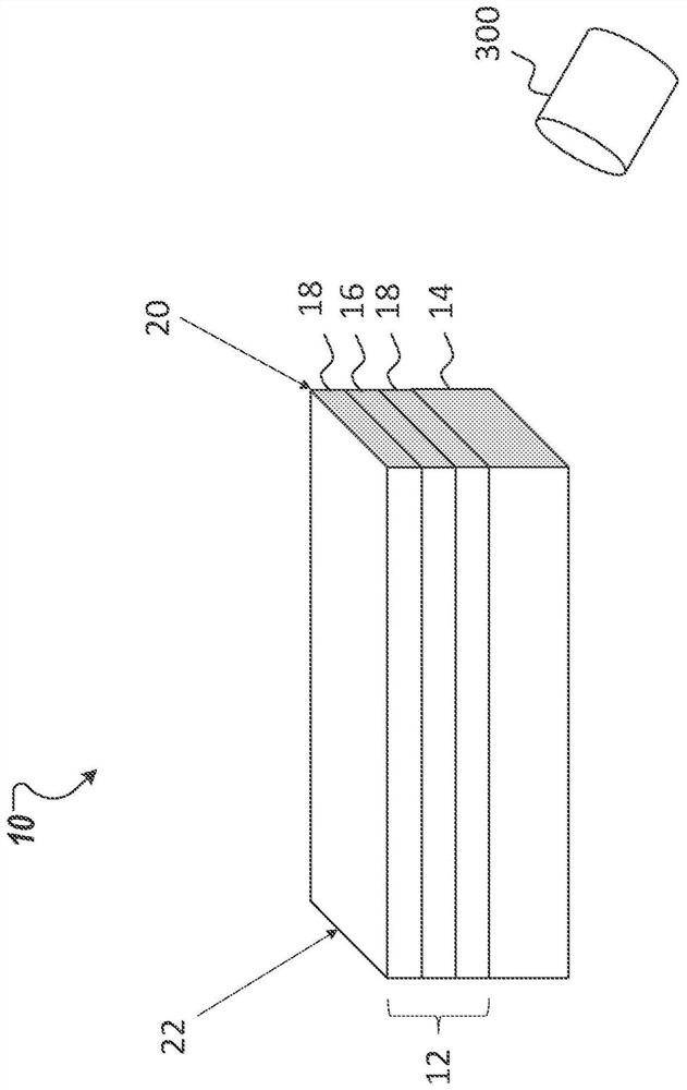 Passivation of laser faceting and system for performing passivation of laser faceting